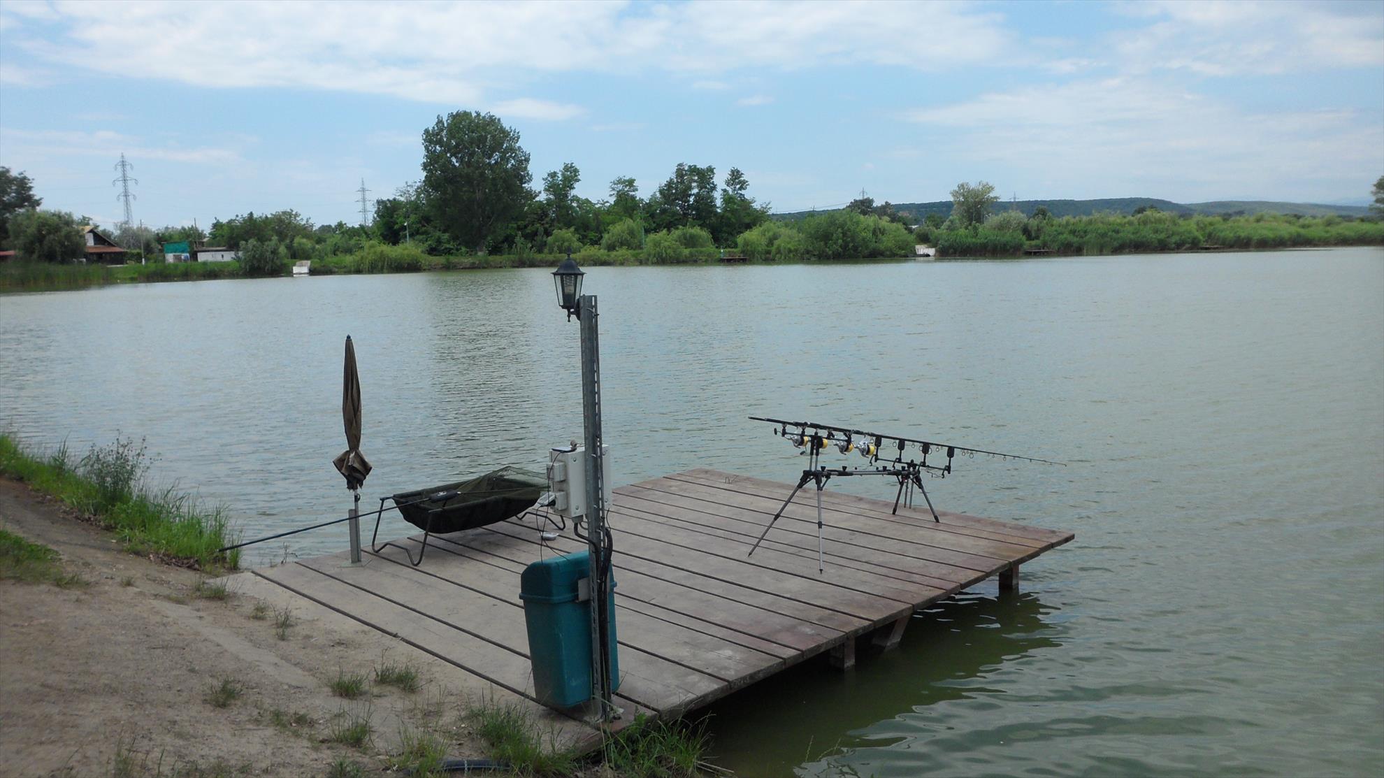 Pleasa1 23 iunie 2014 - sam3214.JPG